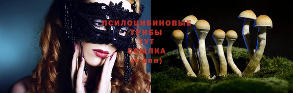 кокс Кинешма