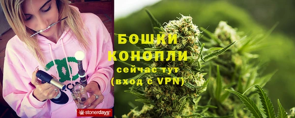 гидропоника Кодинск