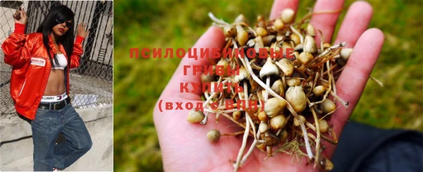 MDMA Premium VHQ Козловка
