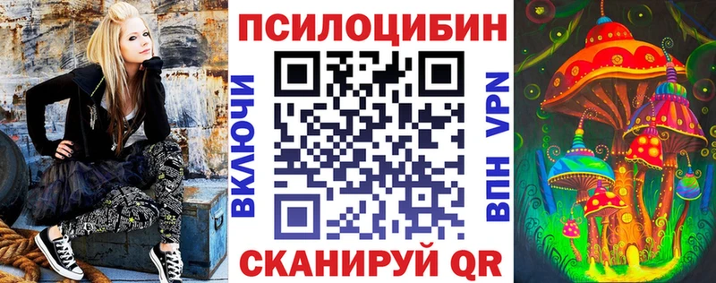 сайты даркнета клад  купить наркотики сайты  Шебекино  Галлюциногенные грибы Psilocybine cubensis 